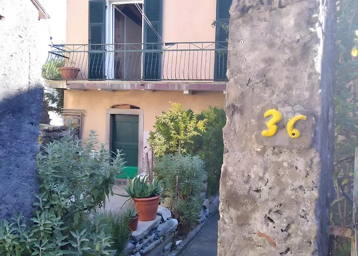 La Cantina Del Sole Lejlighed Riccò del Golfo di Spezia