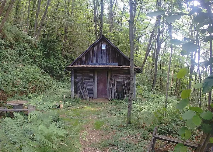 La Cantina Del Sole Lejlighed Riccò del Golfo di Spezia
