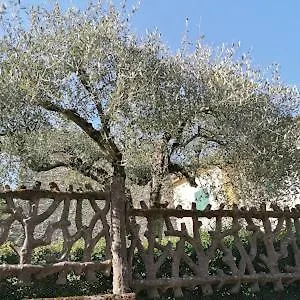 La Cantina Del Sole Semesterbostad Riccò del Golfo di Spezia