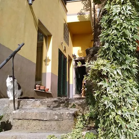 度假居 灿阳酒窖度假屋 *
