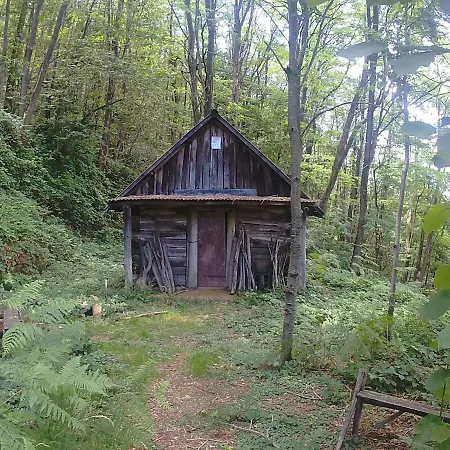 灿阳酒窖度假屋
